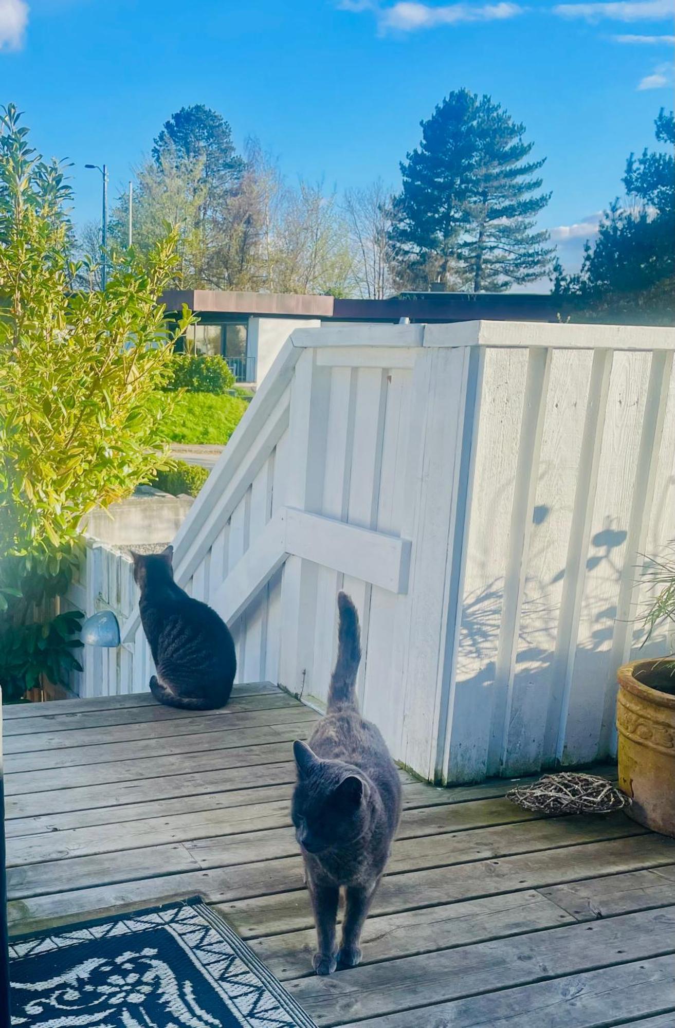 Cool Familyhome Close To The Beach W Two Cuddly Cats Espergaerde Exterior photo